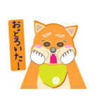 柴犬創太日常 (2)（個別スタンプ：6）