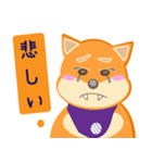 柴犬創太日常 (2)（個別スタンプ：8）
