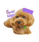 早食い犬（個別スタンプ：2）