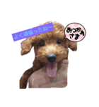 早食い犬（個別スタンプ：6）