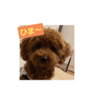 早食い犬（個別スタンプ：8）