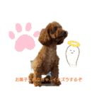 早食い犬（個別スタンプ：13）