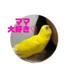 ゆきちゃん宅スタンプ17（個別スタンプ：3）