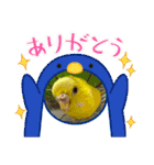 ゆきちゃん宅スタンプ17（個別スタンプ：5）