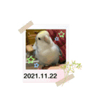 ゆきちゃん宅スタンプ17（個別スタンプ：6）