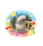 ゆきちゃん宅スタンプ17（個別スタンプ：11）