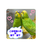 ゆきちゃん宅スタンプ17（個別スタンプ：14）