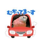 ゆきちゃん宅スタンプ17（個別スタンプ：15）
