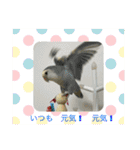 ゆきちゃん宅スタンプ17（個別スタンプ：20）
