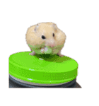 つよしでちゅ！！！！！（個別スタンプ：7）