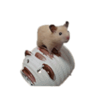 つよしでちゅ！！！！！（個別スタンプ：12）