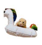 つよしでちゅ！！！！！（個別スタンプ：13）
