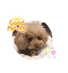 くぅ・パールのスタンプ（個別スタンプ：8）