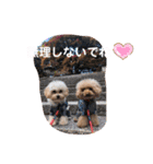 くぅ・パールのスタンプ（個別スタンプ：10）