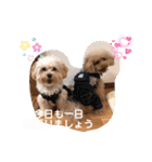 くぅ・パールのスタンプ（個別スタンプ：11）