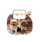 くぅ・パールのスタンプ（個別スタンプ：13）