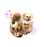 くぅ・パールのスタンプ（個別スタンプ：16）