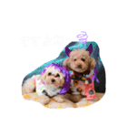 くぅ・パールのスタンプ（個別スタンプ：17）