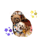 くぅ・パールのスタンプ（個別スタンプ：19）