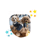 くぅ・パールのスタンプ（個別スタンプ：20）