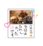 くぅ・パールのスタンプ（個別スタンプ：22）
