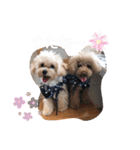 くぅ・パールのスタンプ（個別スタンプ：23）