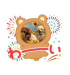 くぅ・パールのスタンプ（個別スタンプ：24）