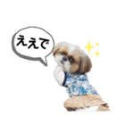 シーズーのもぐとにこの関西弁スタンプ（個別スタンプ：2）