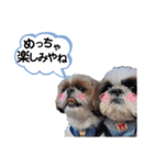 シーズーのもぐとにこの関西弁スタンプ（個別スタンプ：13）