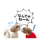 シーズーのもぐとにこの関西弁スタンプ（個別スタンプ：18）