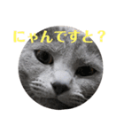 ぎんじろう2nd（個別スタンプ：3）