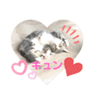 ちぃととくぅ2（個別スタンプ：1）