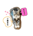 ちぃととくぅ2（個別スタンプ：2）