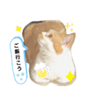ちぃととくぅ2（個別スタンプ：7）