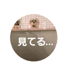ちぃととくぅ2（個別スタンプ：9）