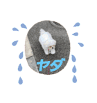 ちぃととくぅ2（個別スタンプ：11）