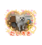 ちぃととくぅ2（個別スタンプ：12）