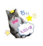 ちぃととくぅ2（個別スタンプ：13）