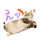ちぃととくぅ2（個別スタンプ：14）