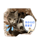 ちぃととくぅ2（個別スタンプ：16）