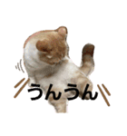 ちぃととくぅ2（個別スタンプ：21）