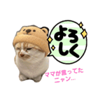 ちぃととくぅ2（個別スタンプ：23）