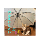 ちぃととくぅ2（個別スタンプ：26）