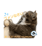 ちぃととくぅ2（個別スタンプ：28）