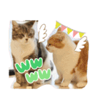 ちぃととくぅ2（個別スタンプ：31）