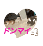 ちぃととくぅ2（個別スタンプ：32）