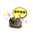＊こなつスタンプ2＊（個別スタンプ：2）