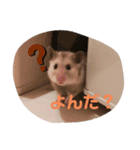 ＊こなつスタンプ2＊（個別スタンプ：3）