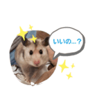＊こなつスタンプ2＊（個別スタンプ：4）