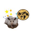 ＊こなつスタンプ2＊（個別スタンプ：5）